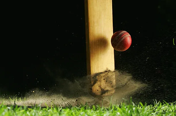 Fielding: The Silent Match Winner